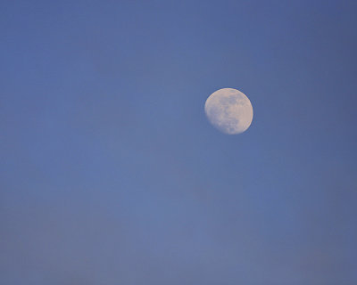 moon