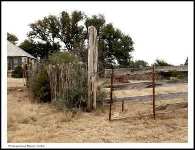 Ranch life 5