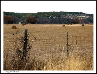 Ranch life 4
