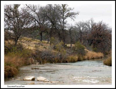 Ranch life 3