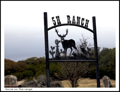 Ranch life 1