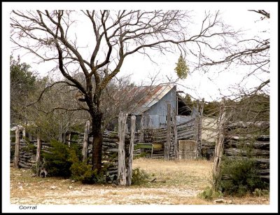 Ranch life