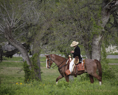 Lone rider