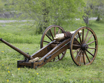 Cannon at Goliad