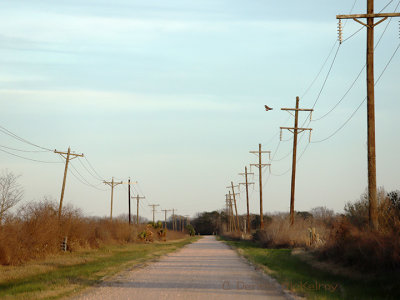 209.jpg