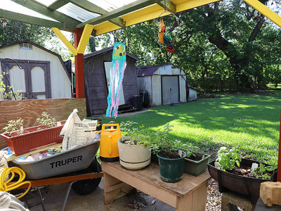 Out Back