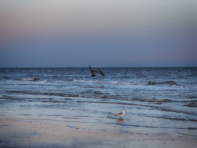 gulf-21-1.jpg