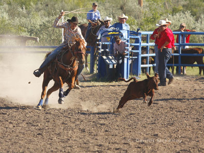 horse 1.jpg