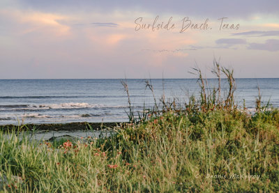 surfside 8 a.jpg