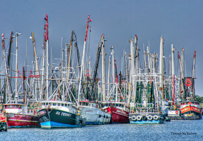 freeport shrimp fleet