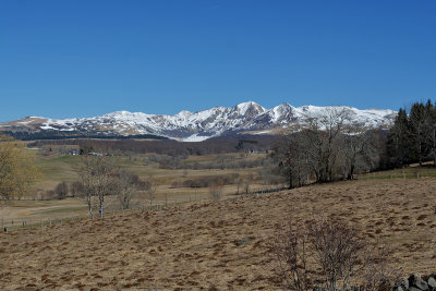 DSC_1299