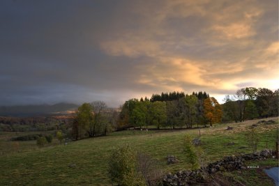 g12/63/613063/3/169943649.D48ky0Ku.jpg