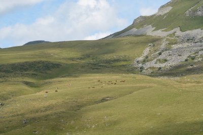 DSC_2991.jpg