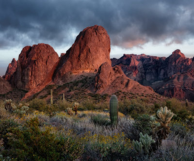 AZ Desert