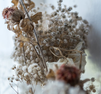 Dried flowers