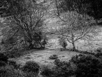 On Dartmoor