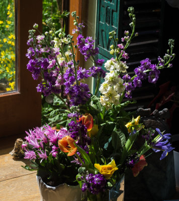 Flowers