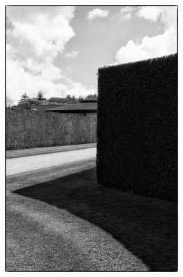 Shadows at Rosemoor