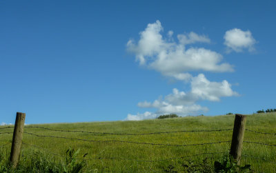 View from my window