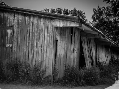 Wooden shed