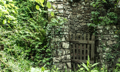 Tiny gate hiding in the wall