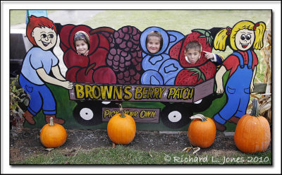 More Brown's Berry Farm