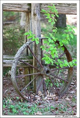 Old Wheel.jpg