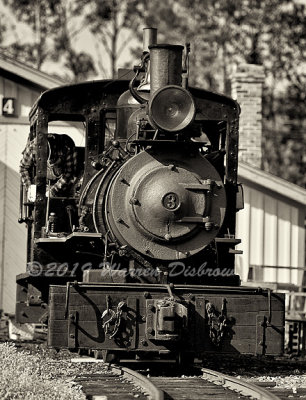 D5A_5801.jpg