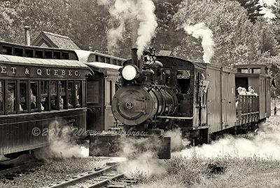 D5A_6001.jpg