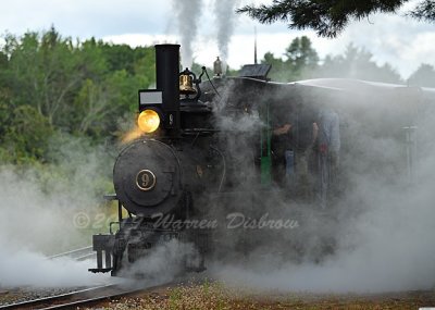 D5A_6253.jpg