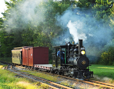D5A_6736.jpg