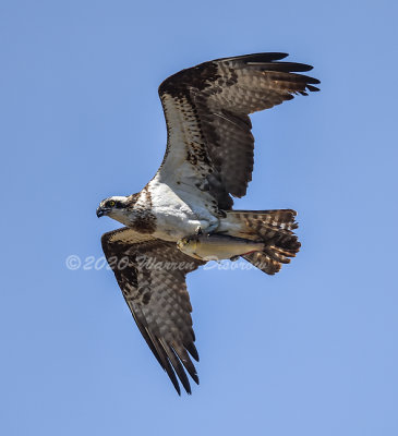 850_4118-1.jpg