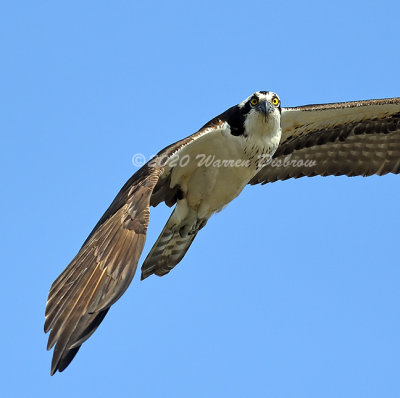 D5A_1153.jpg