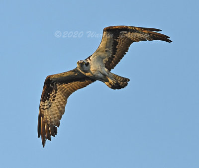 D6A_6867_.jpg