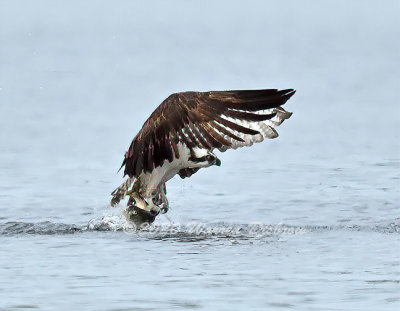 D6A_7801_.jpg