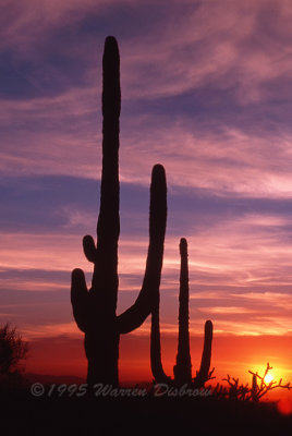 Arizona and Southwest Scenics