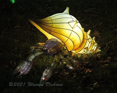 D6A_3439_00009.jpg