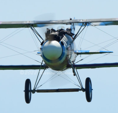 NZ9_5233.jpg