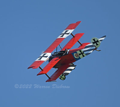 NZ9_6949.jpg