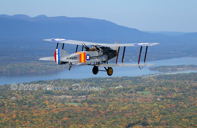 NZ9_7774.jpg