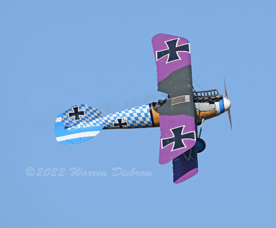 NZ9_9087.jpg