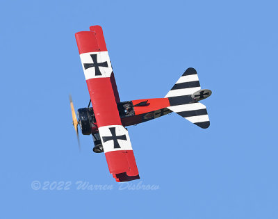 NZ9_1024.jpg