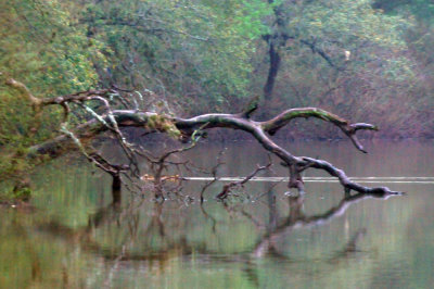 33cooks_140slough.jpg