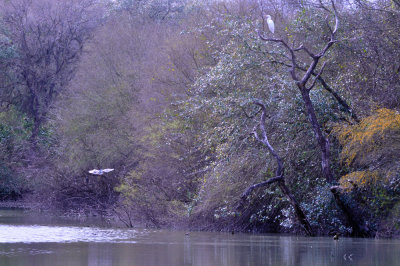 35cooks_069greategret.jpg