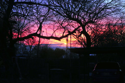 37countyneals_001earlysun.jpg