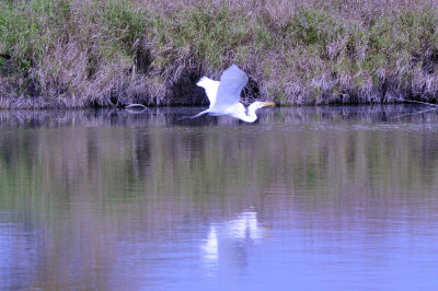 38cooks_003greategret.jpg