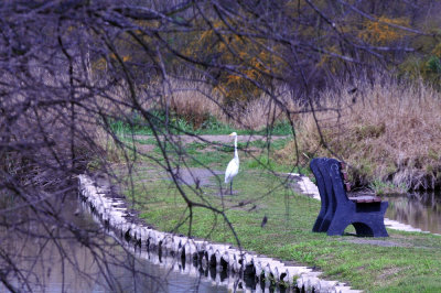 38cooks_008greategret.jpg