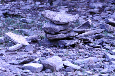 39neals_091markers.jpg