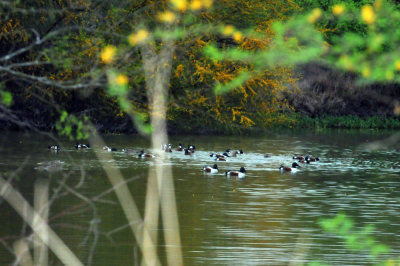 324cooks_006shovelers.jpg