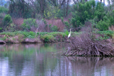 325cooks_011greategret.jpg